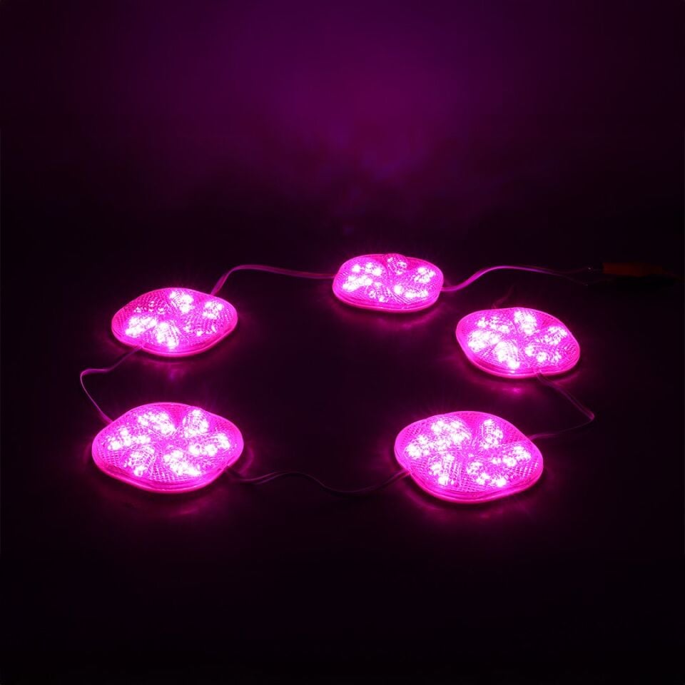 PowerMaster 12 Volt 3 Watt Pembe Yanıp Sönen Çakar Modül Led