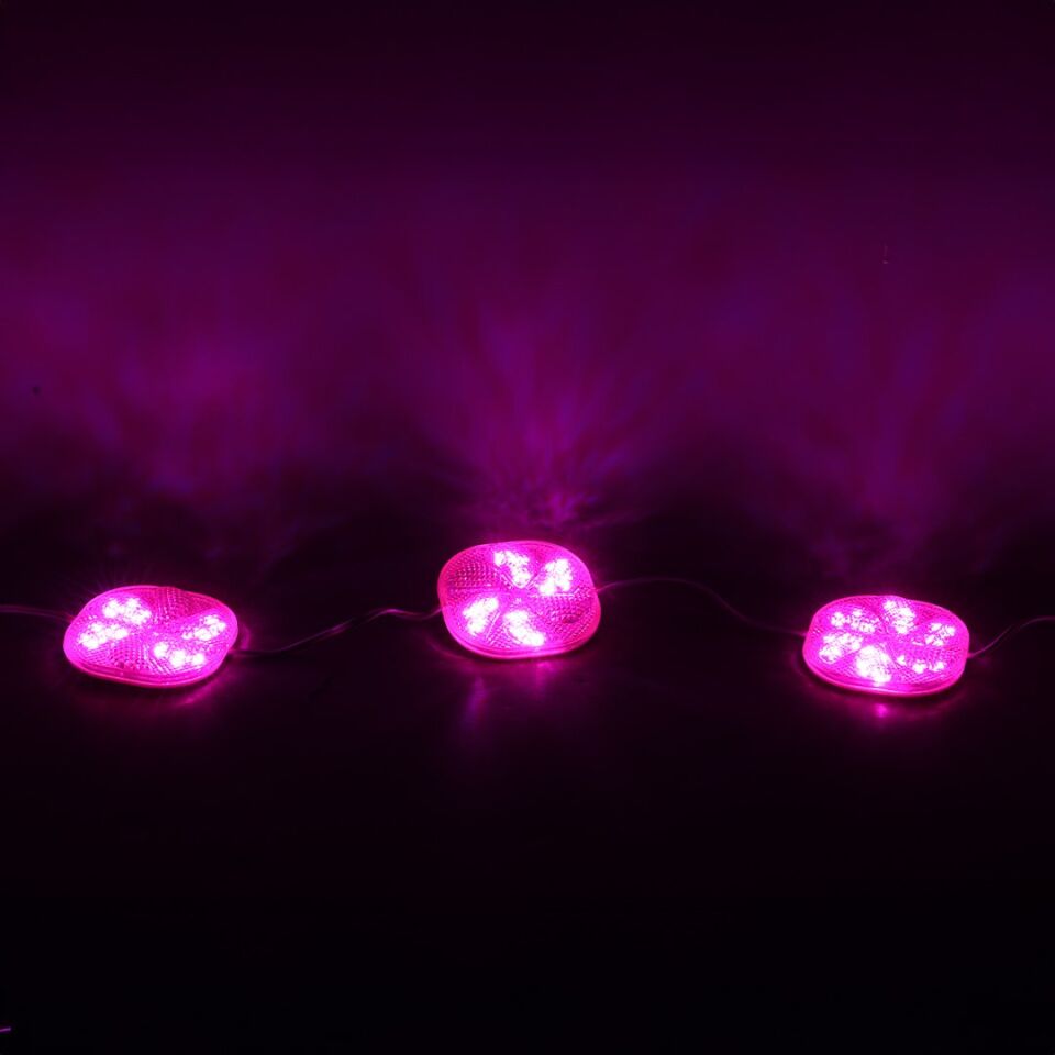 PowerMaster 12 Volt 3 Watt Pembe Yanıp Sönen Çakar Modül Led