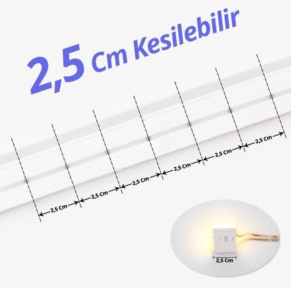 Powermaster PM-5289 12 Volt 100Metre Günışığı Neon Şerit Led