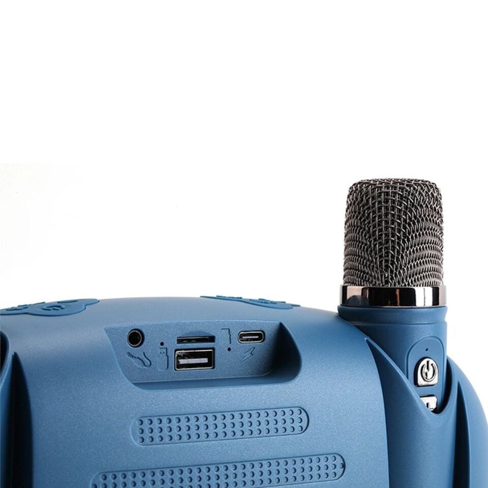 T&G TG542DK 2 El Mikrofonlu Karaoke Bluetooth Hoparlör