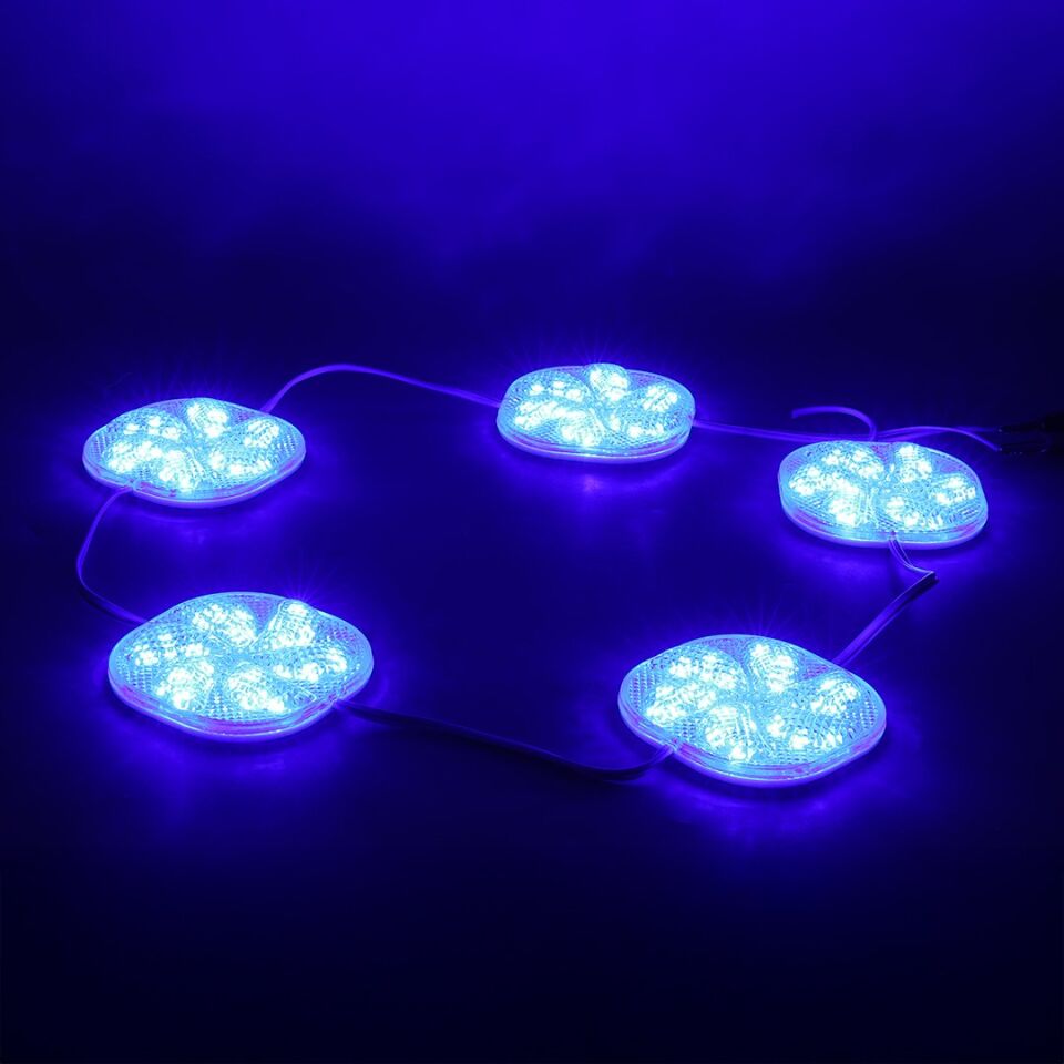 PowerMaster 12 Volt 3 Watt Mavi Sabit Modül Led