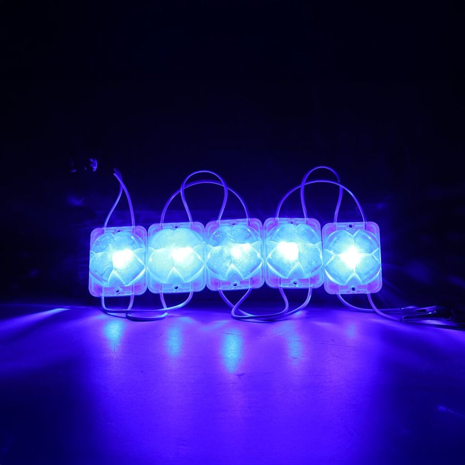 Powermaster 12 Volt 2 Watt Mavi Sabit Modül Led