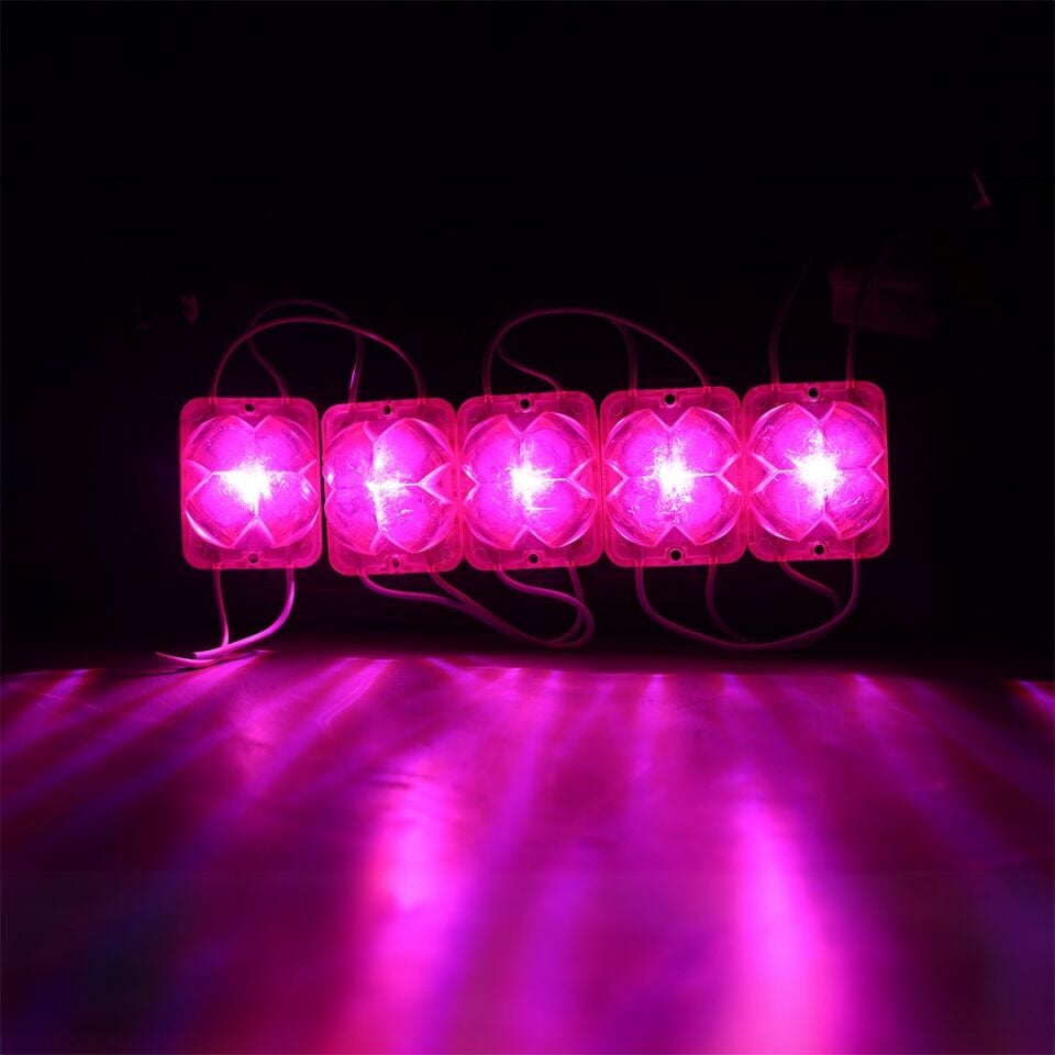 Powermaster 12 Volt 2 Watt Pembe Yanıp Sönen Çakar Modül Led