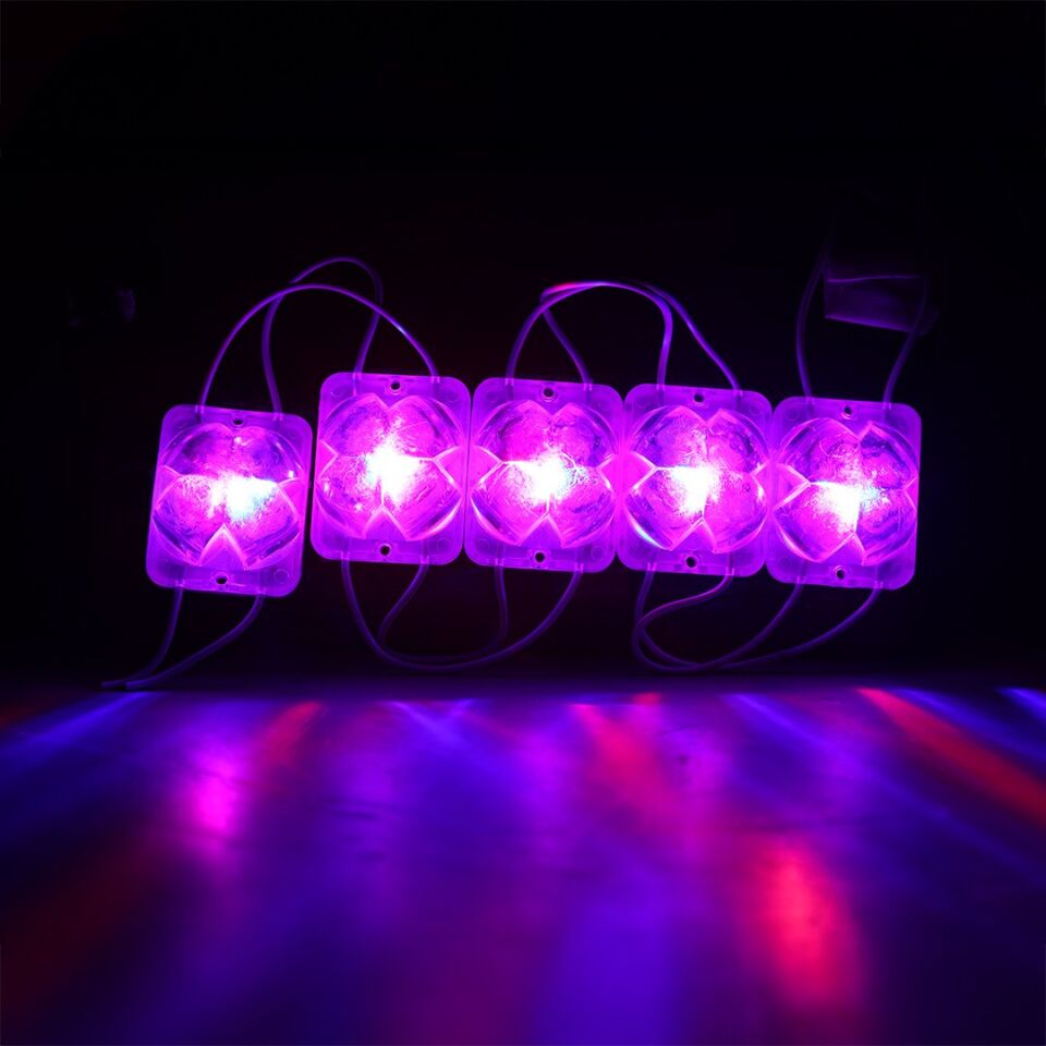 Powermaster 12 Volt 2 Watt (R+B) Yanıp Sönen Çakar Modül Led