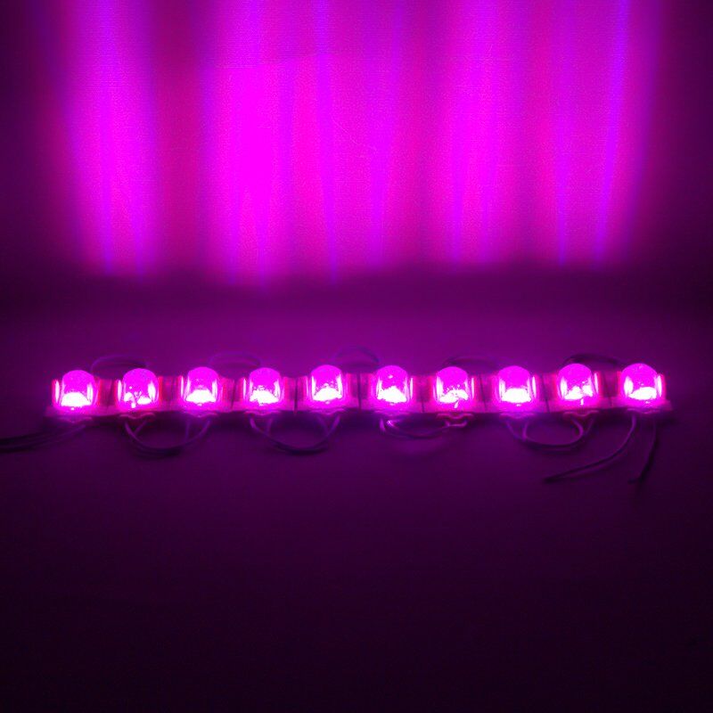 Powermaster 24 Volt 1.4 Watt Pembe Cob Modül Led