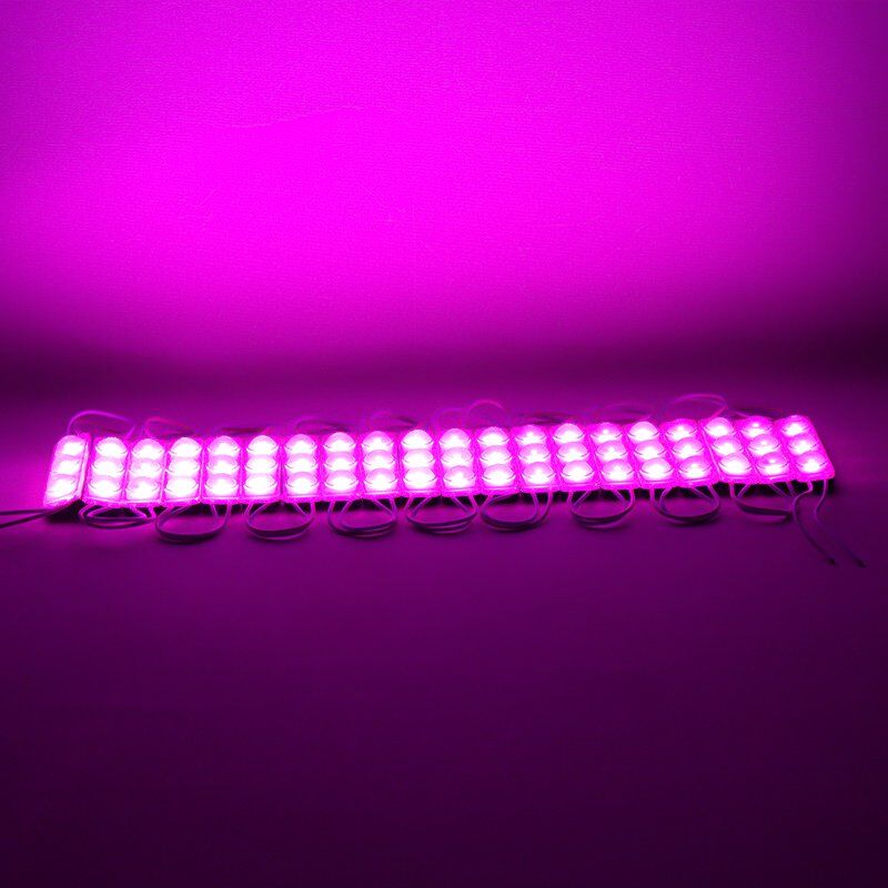 Powermaster 12 Volt 1.5 Watt Pembe Yanıp Sönen Modül Led