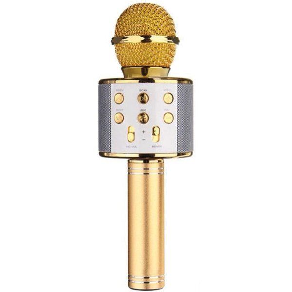 Powermaster PM-17185 Bluetooth-SD-Aux Karaoke Mikrofon